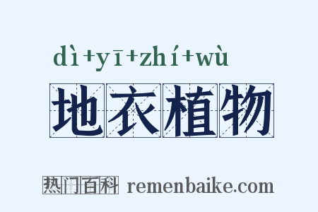 地衣植物是什么意思的图片